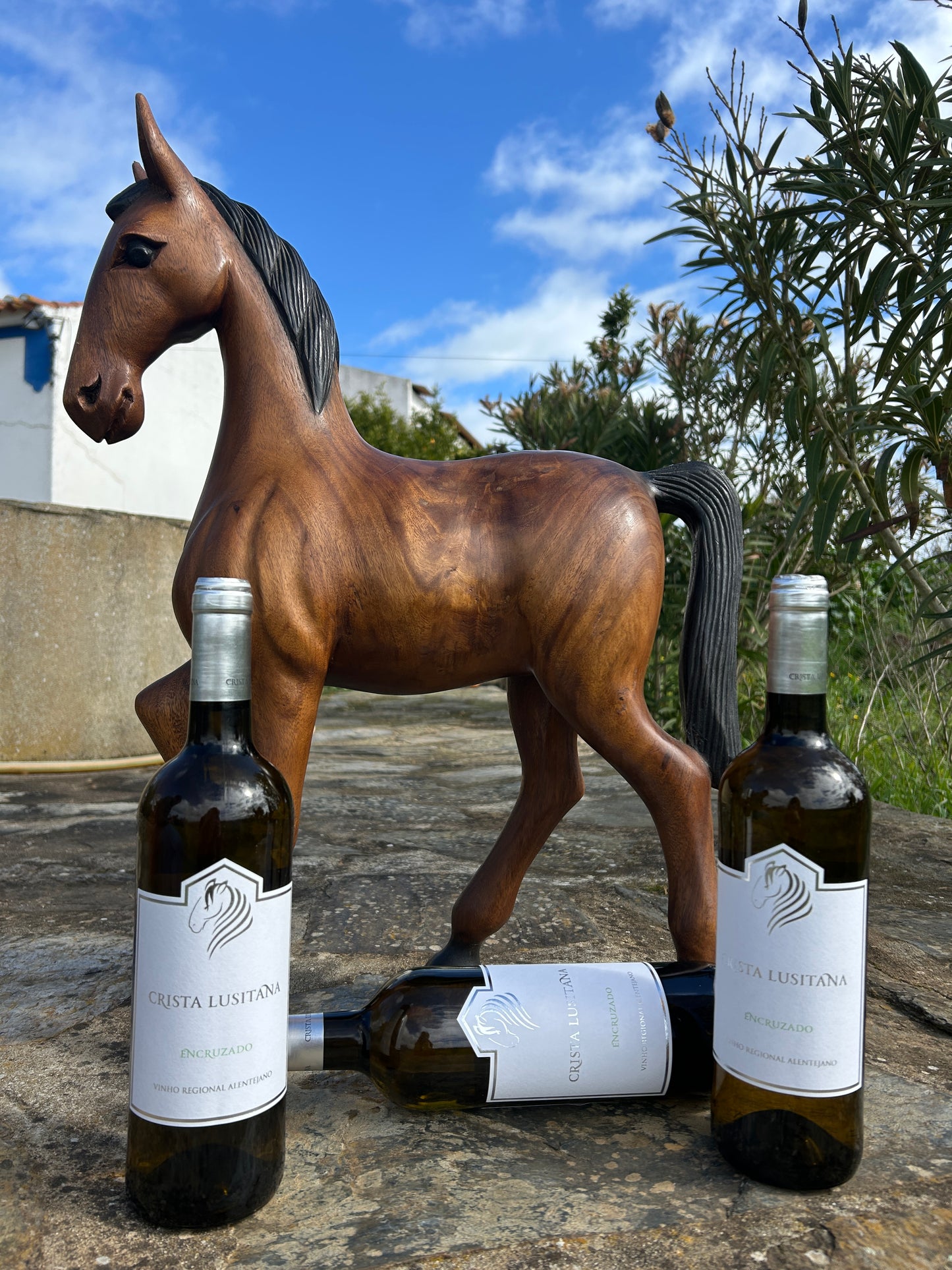 Pack Alentejo - Encruzado 2021 - Oferta de 1 queijo