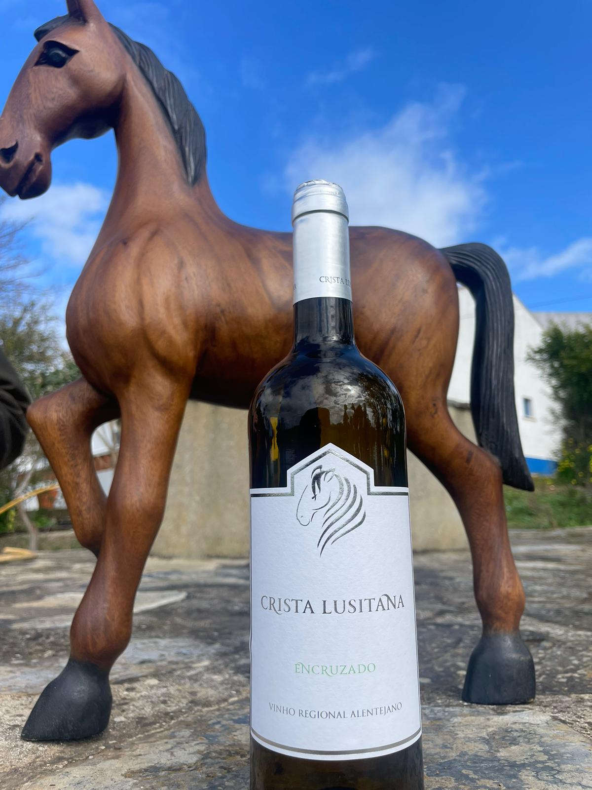 Pack Alentejo - Encruzado 2021 - Oferta de 1 queijo e 1 tábua de enchidos